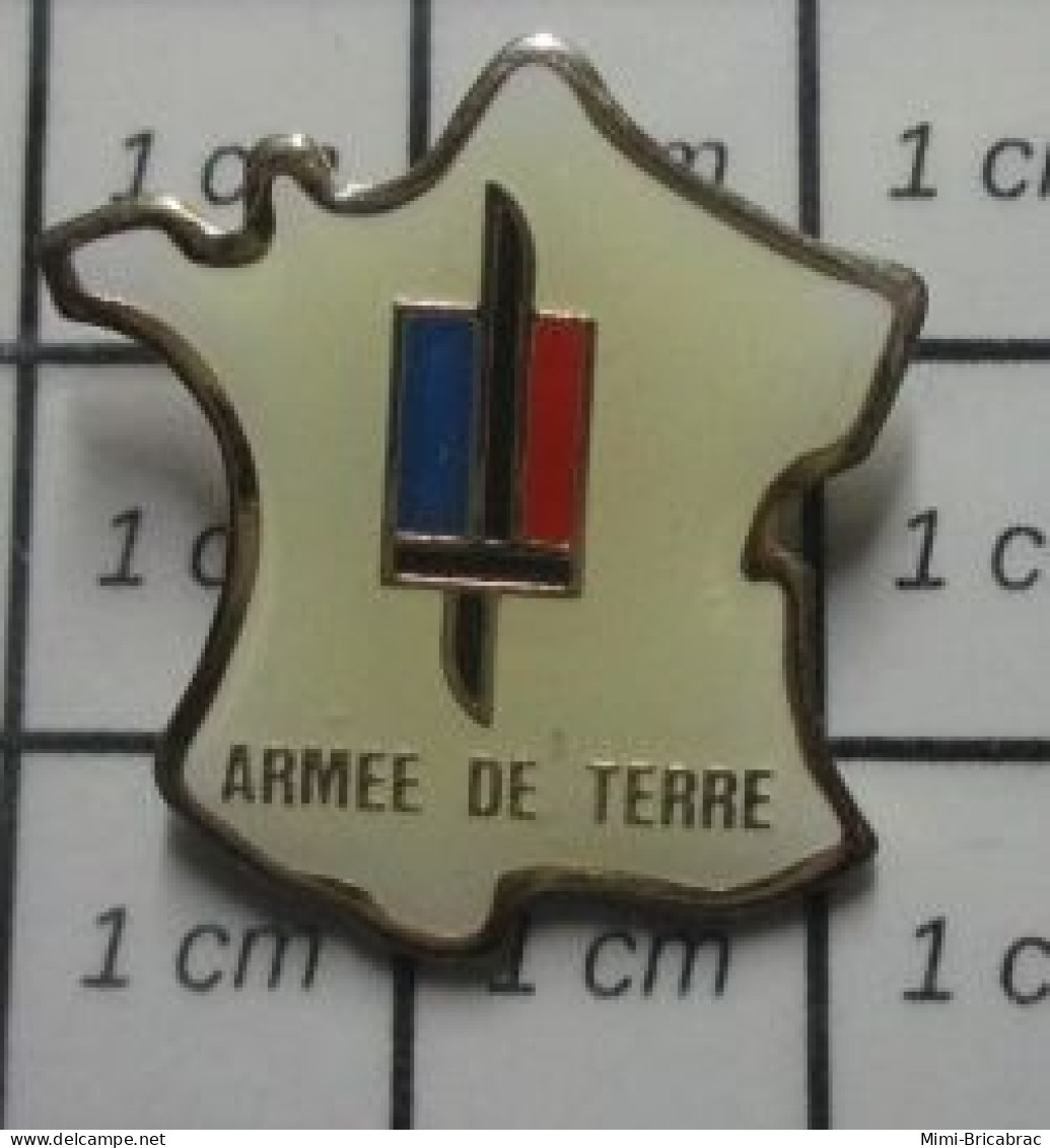 3417 Pin's Pins / Beau Et Rare / MILITARIA / HEXAGONE ARMEE DE TERRE FRANCE - Armee