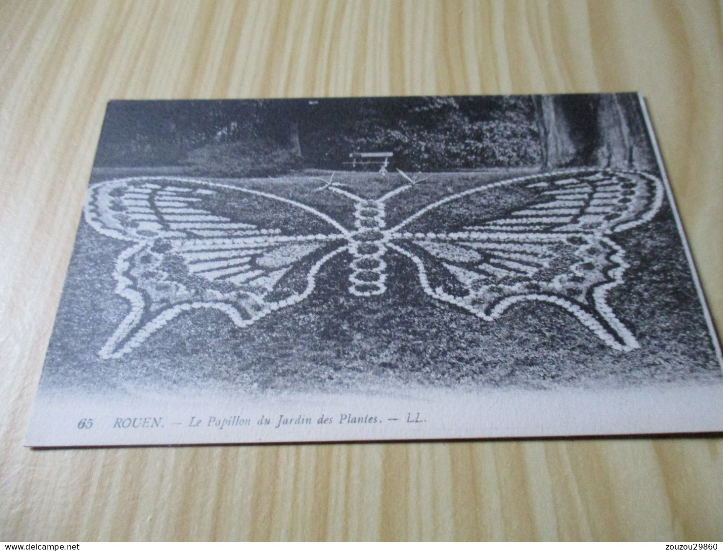 CPA Rouen (76).Le Papillon Du Jardin Des Plantes. - Rouen