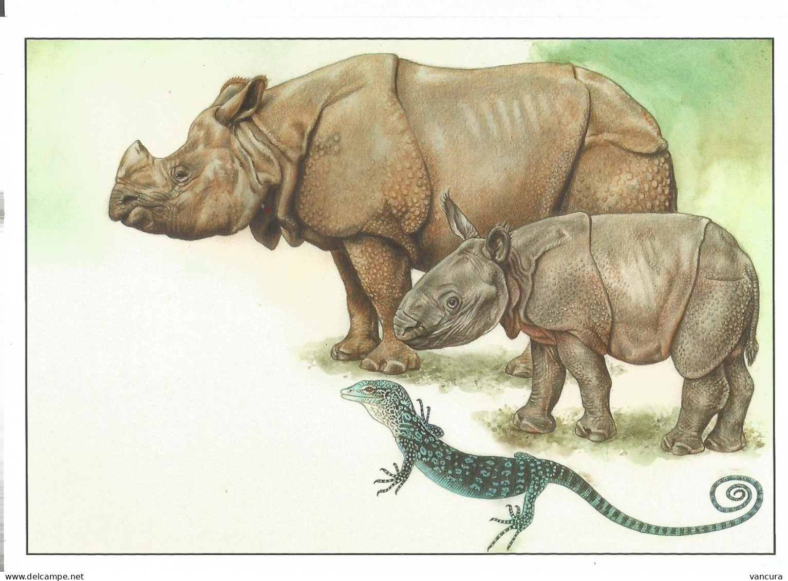 Picture Postcard Czech Republic Nature Protection: Zoological Gardens II 2017 Rhino Varan - Rhinoceros