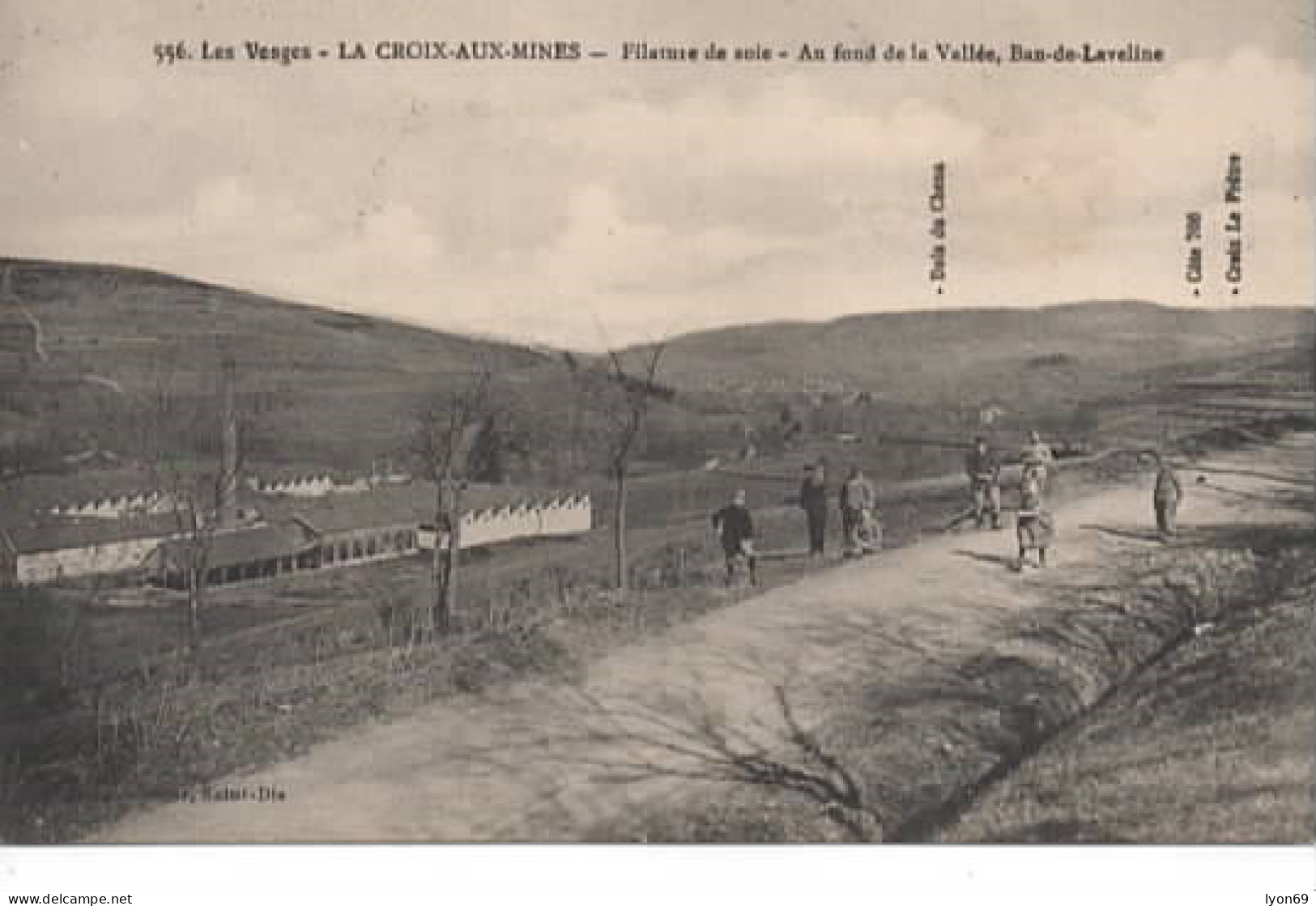 LA CROIX AUX MINES 556 AU FOND DE LA VALLEE  BAN DE LAVELINE  DOS VERT - Sonstige & Ohne Zuordnung