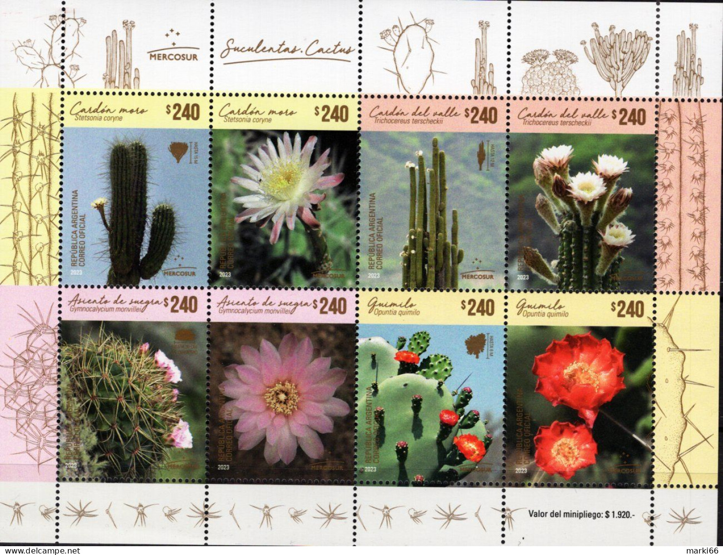 Argentina - 2023 - Mercosur - Succulents - Cacti - Mint Stamp Sheetlet - Neufs