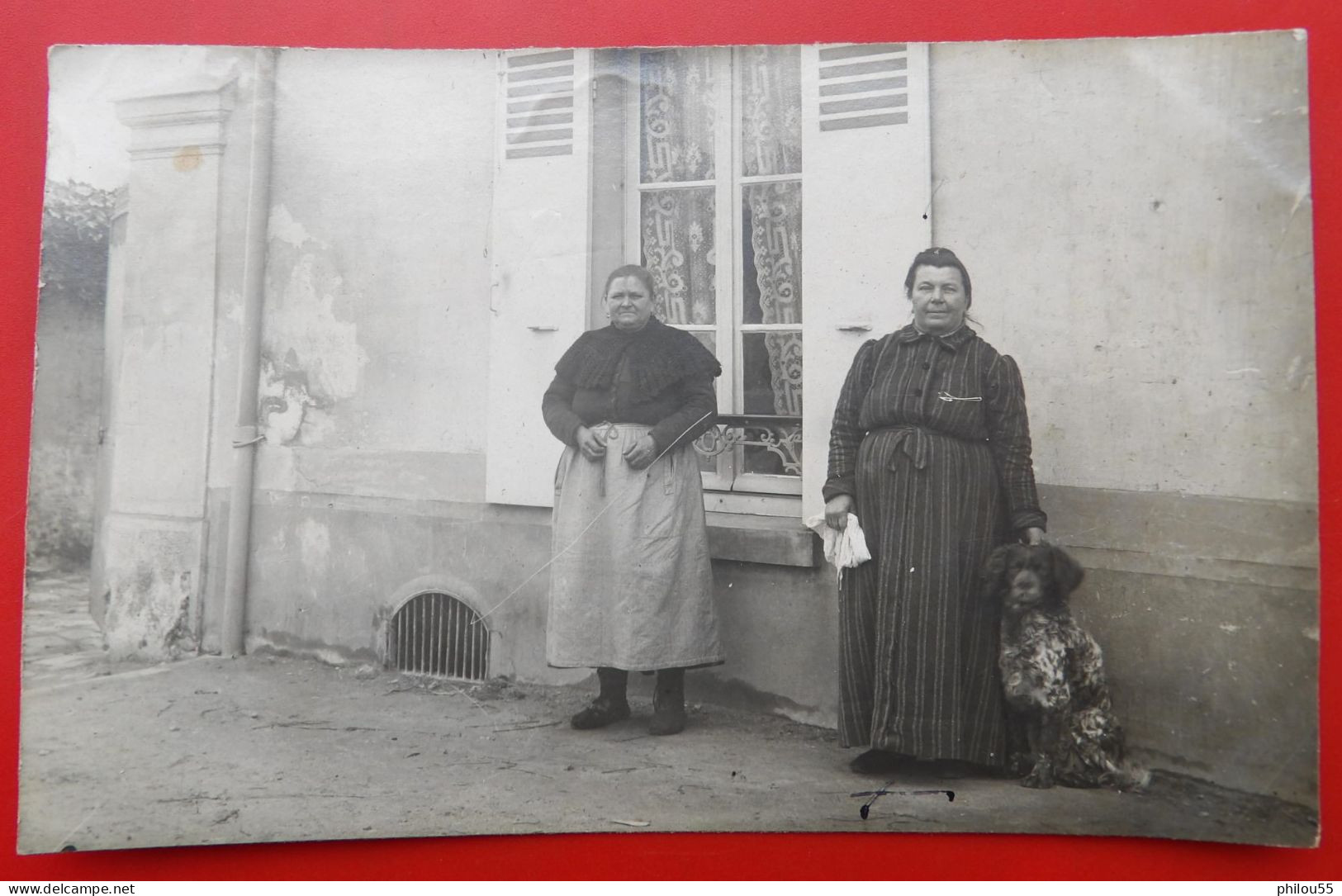 Carte Photo Femmes Chien Pour 55 Chattancourt MAGISSON - Photographs