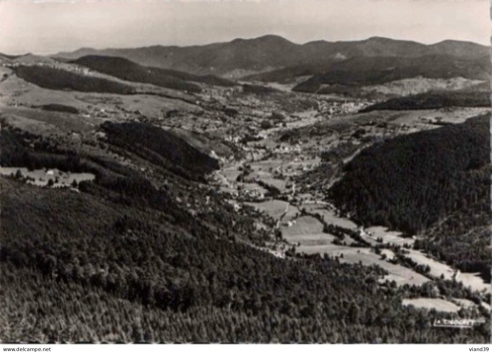 VALLÉE De MUNSTER. -  Vue De L'Altenberg.   -  Non Circulée - Munster