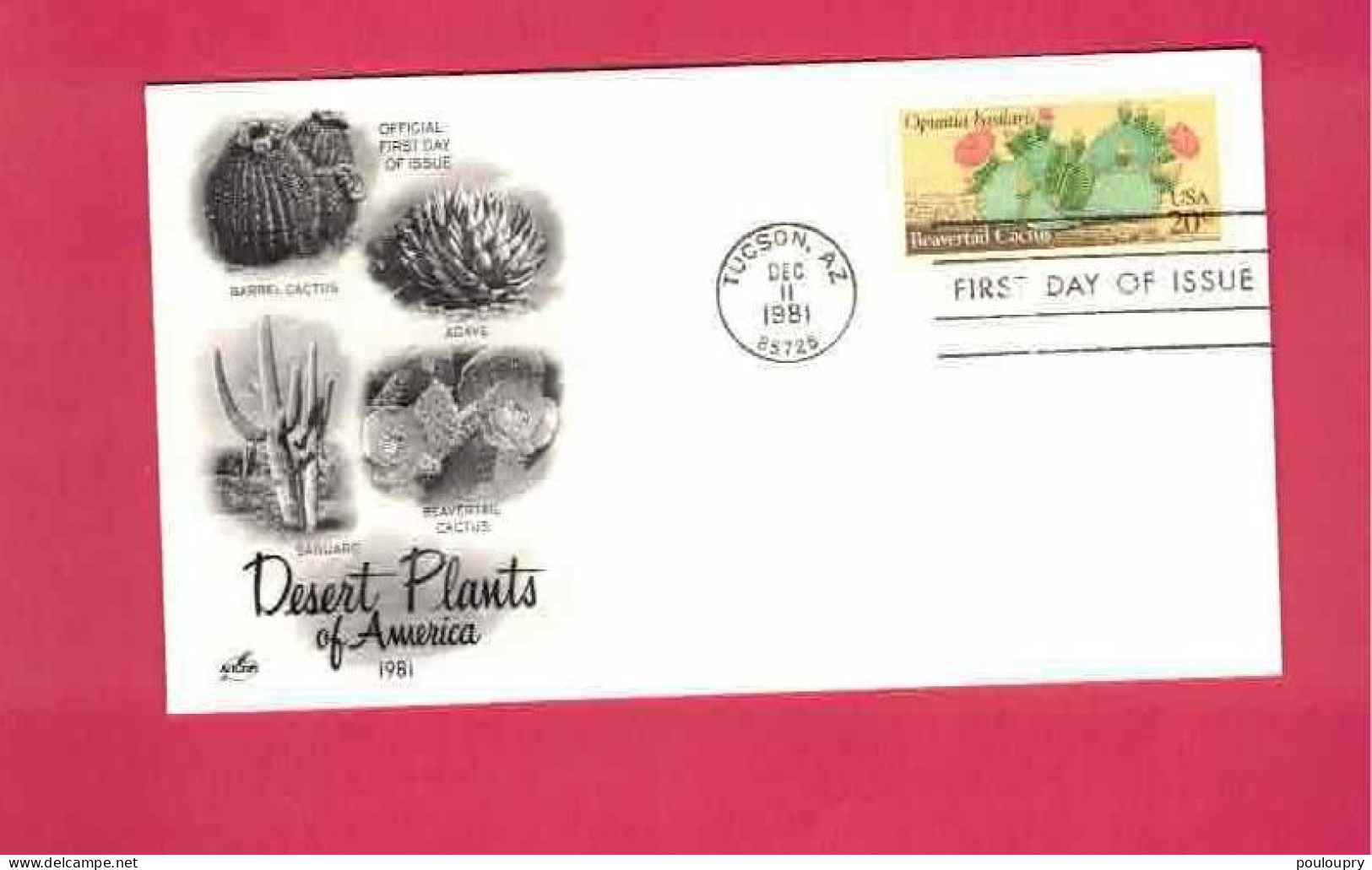 FDC - Lettre De 1981 Des USA EUAN - YT N° 1370 - Opuntia Basilaris - Cactussen