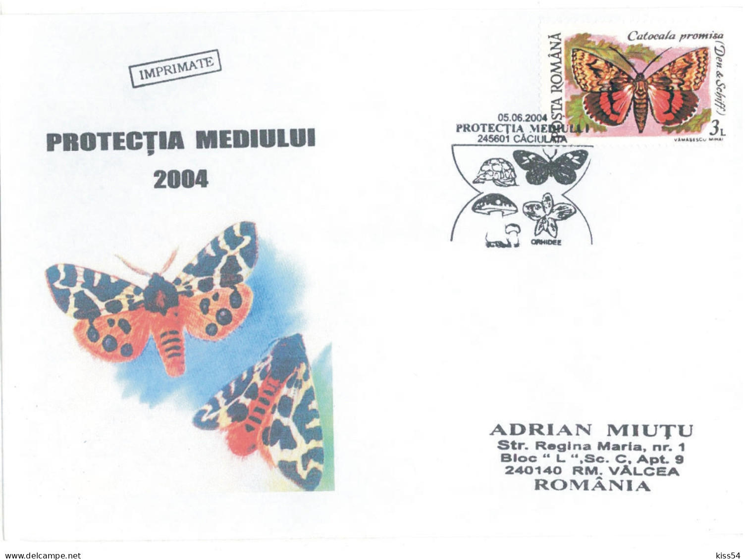 COV 17 - 601 BUTTERFLY, Romania - Cover - Used - 2004 - Brieven En Documenten