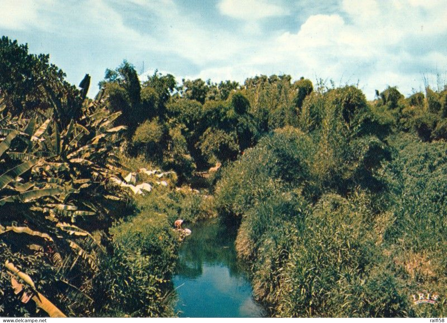 1 AK Réunion Island * Calme Paysage Et Lavandieres - Landschaft Und Wäscherinnen * - Réunion