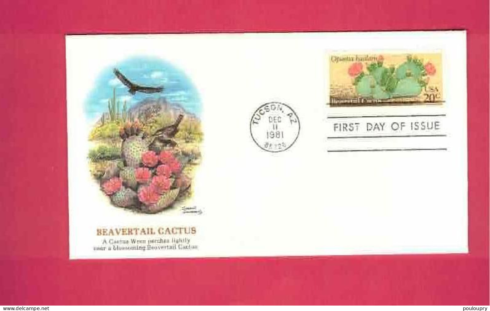 FDC - Lettre De 1981 Des USA EUAN - YT N° 1370 - Opuntia Basilaris - Cactus