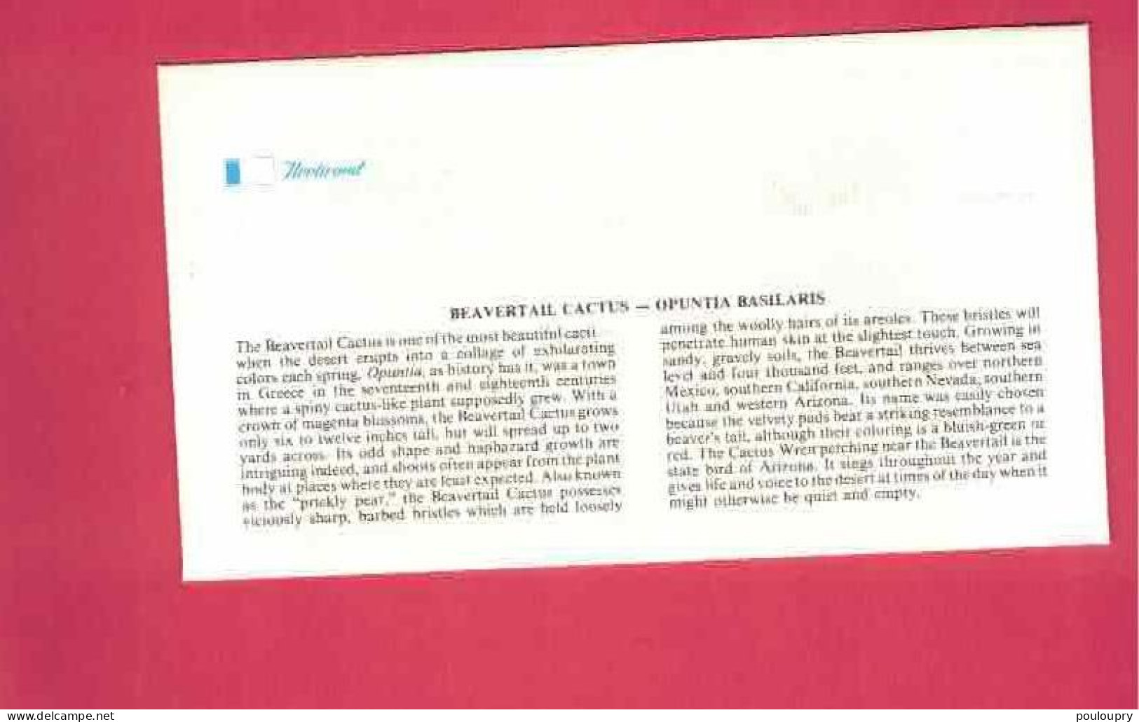 FDC - Lettre De 1981 Des USA EUAN - YT N° 1370 - Opuntia Basilaris - Cactus