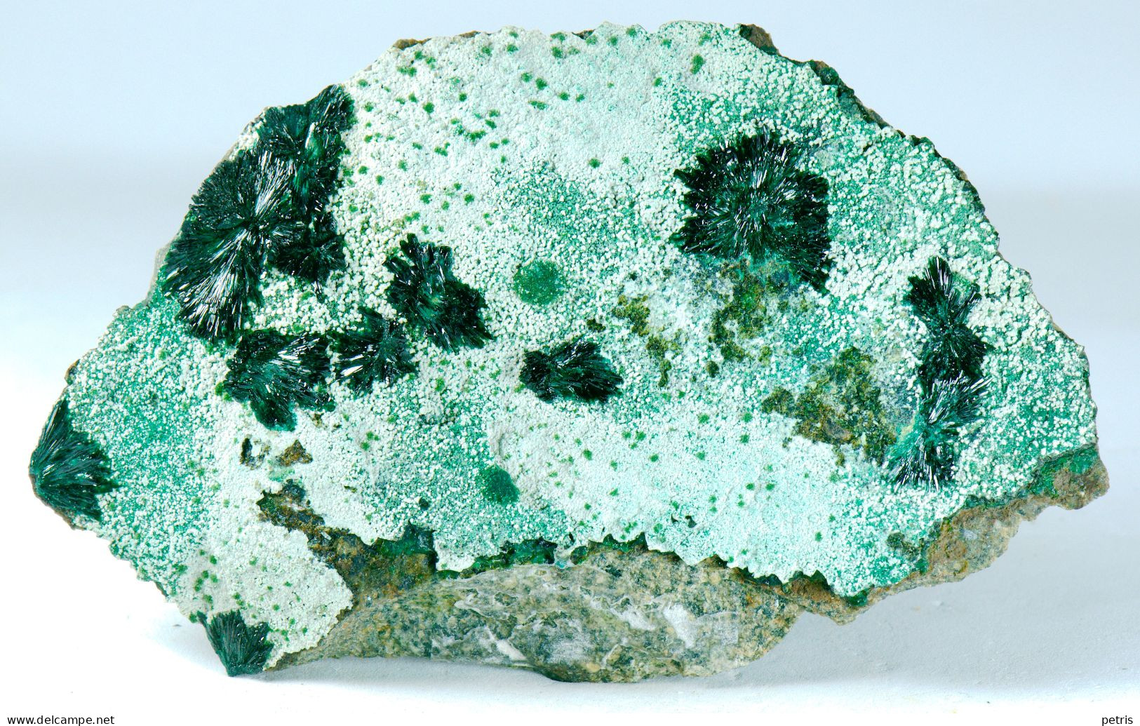 Mineral - Atacamite (La Farola Mine, Cerro Pintado, Tierra Amarilla, Atacama, Chile) - Lot.931 - Minerali