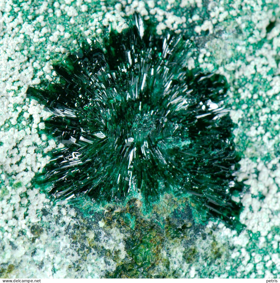 Mineral - Atacamite (La Farola Mine, Cerro Pintado, Tierra Amarilla, Atacama, Chile) - Lot.931 - Minéraux