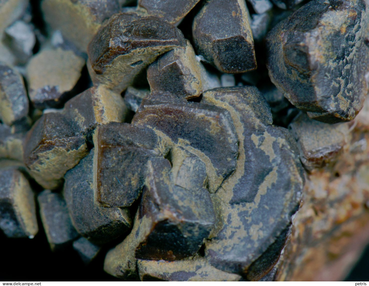 Mineral - Endlichite Toussit, Marocco) - Lot. 722 - Minerali