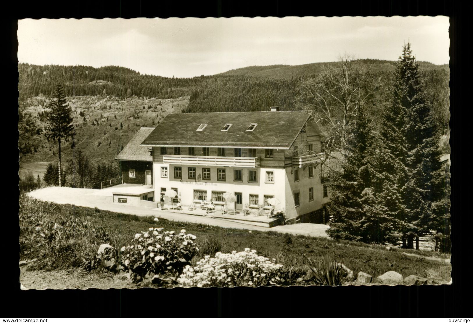 Allemagne Deutschland  Feldberg Im Schwarzwald Gasthof Z. Bären ( Format 9cm X 14xm ) - Feldberg