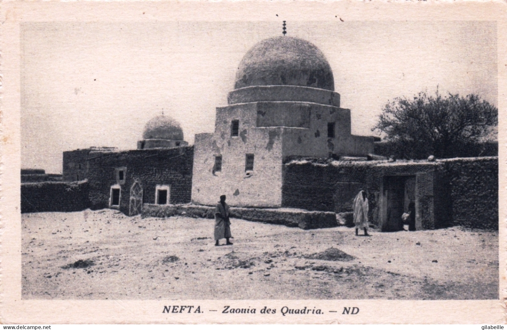 Algerie  - NEFTA - Zaouia Des Quadria - Sonstige & Ohne Zuordnung