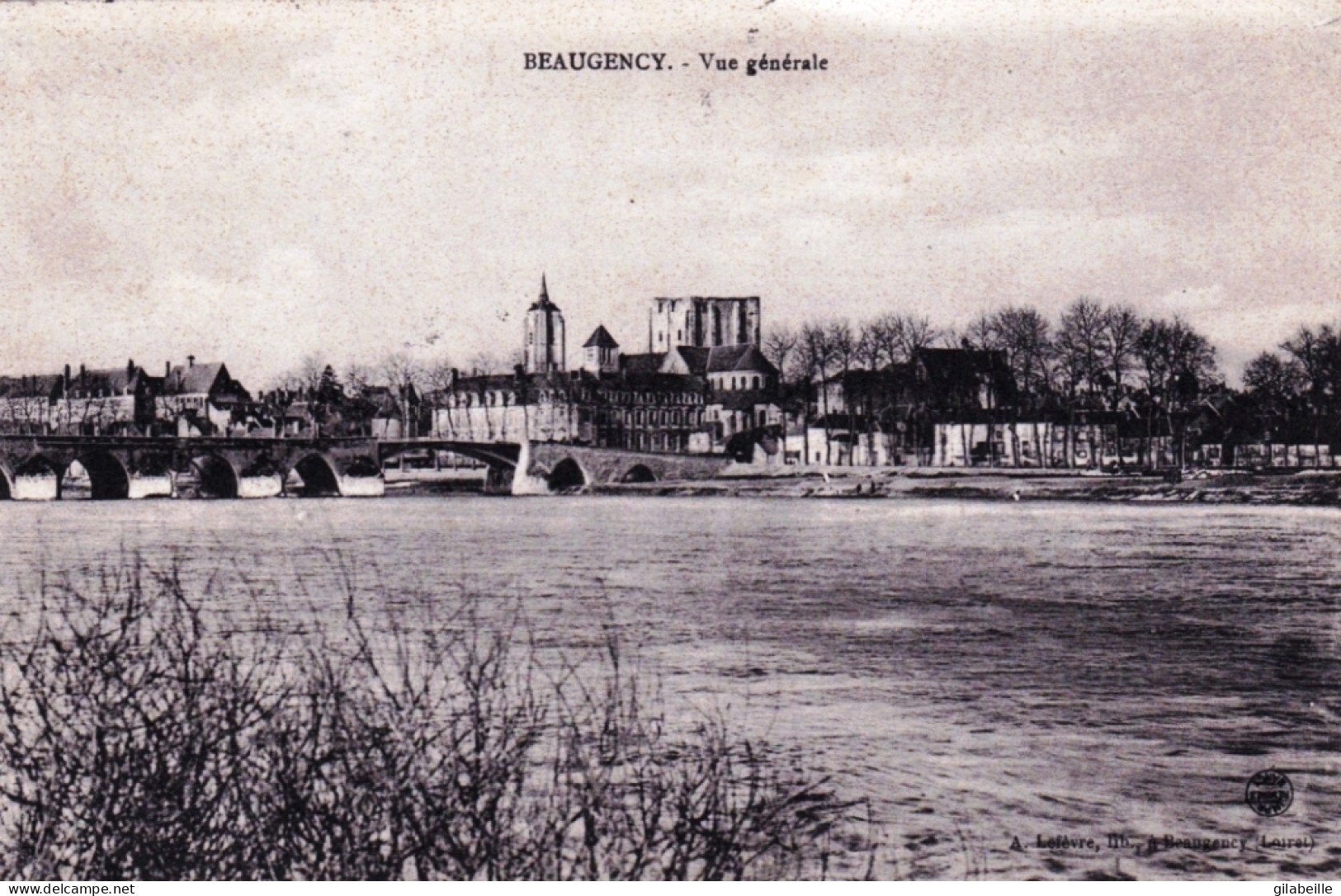 45 - Loiret - BEAUGENCY - Vue Generale - Beaugency