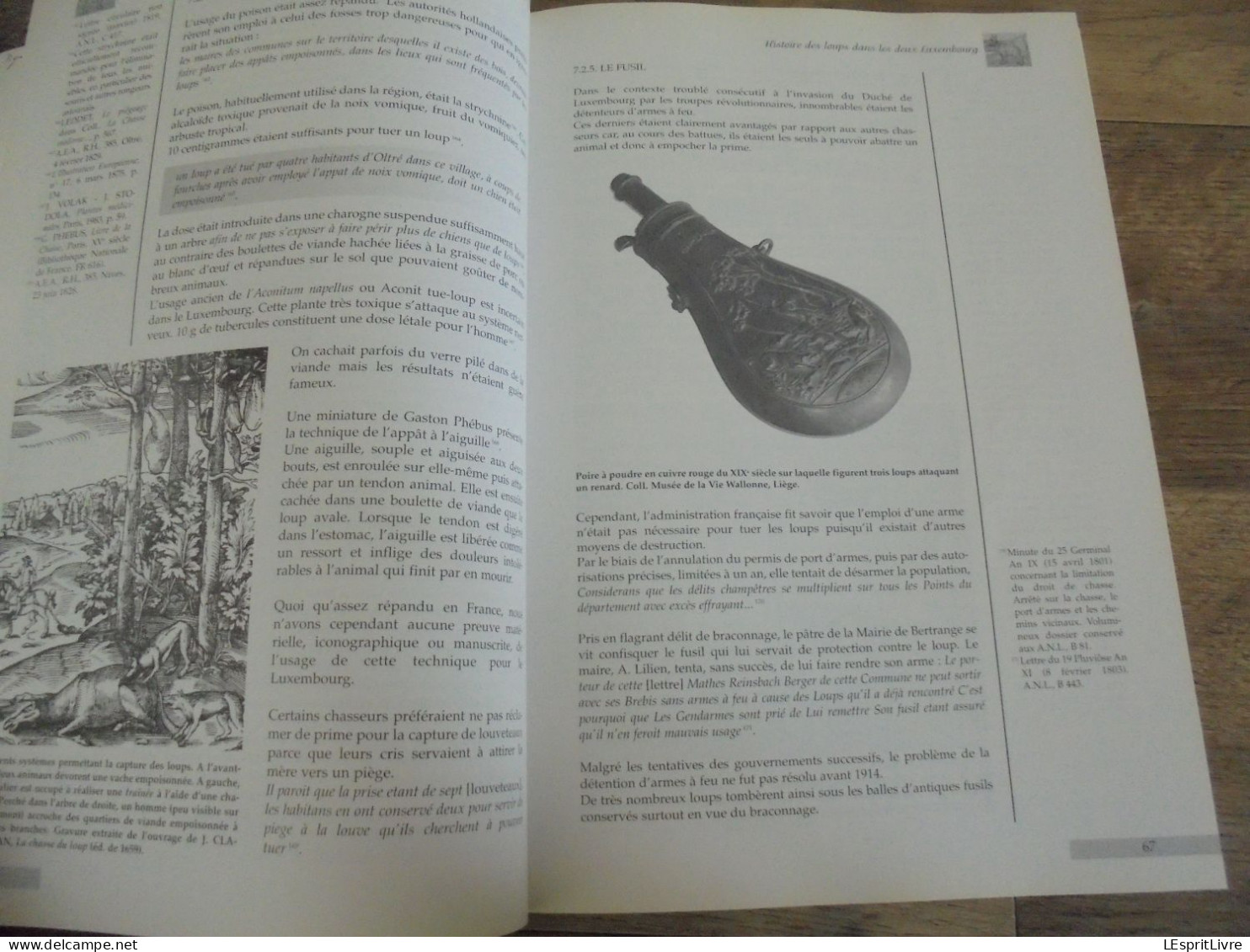 HISTOIRE DES LOUPS DANS LES DEUX LUXEMBOURG Régionalisme Loup Ardenne Braconnage Piège Chasse Folklore Saint Récits