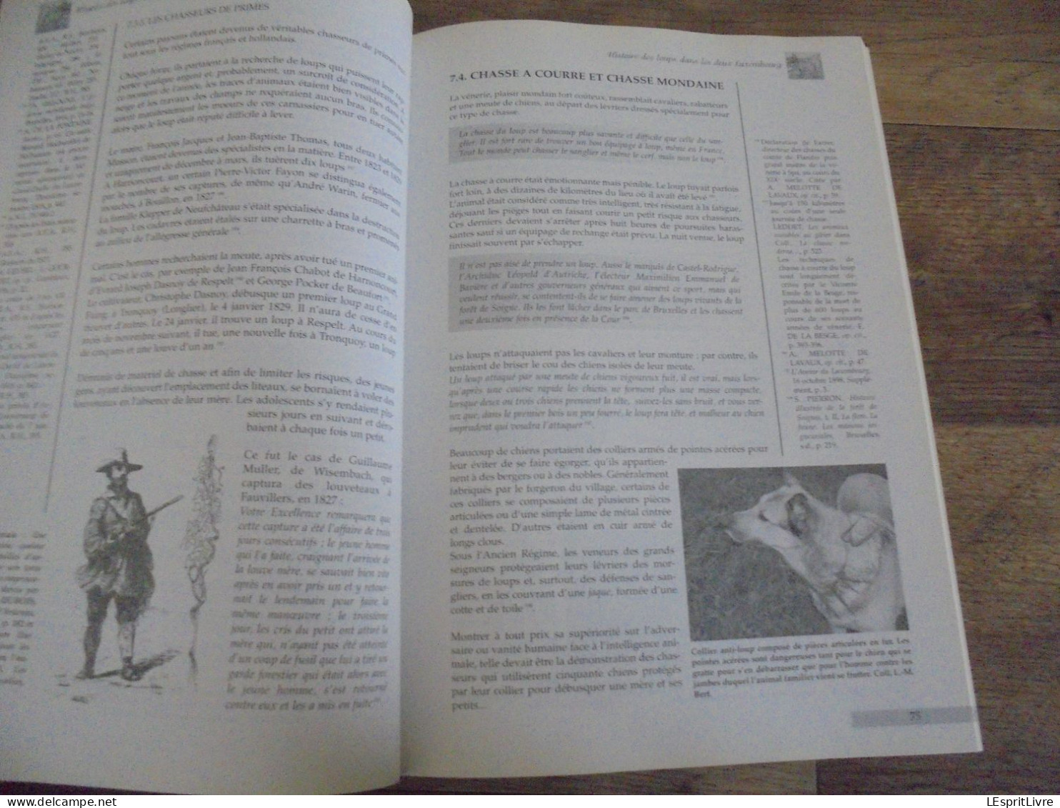 HISTOIRE DES LOUPS DANS LES DEUX LUXEMBOURG Régionalisme Loup Ardenne Braconnage Piège Chasse Folklore Saint Récits