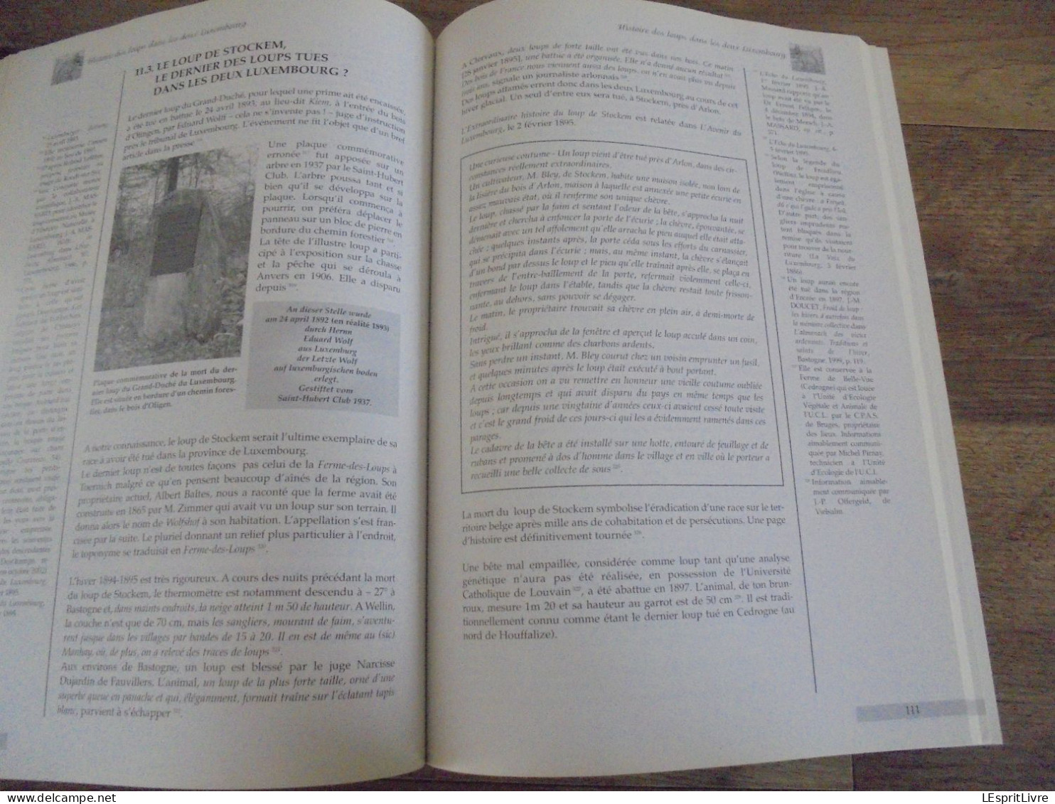 HISTOIRE DES LOUPS DANS LES DEUX LUXEMBOURG Régionalisme Loup Ardenne Braconnage Piège Chasse Folklore Saint Récits