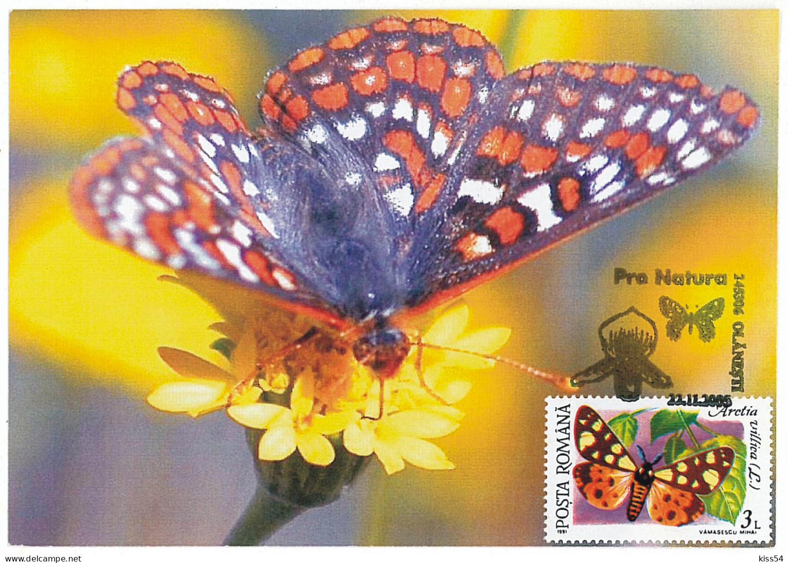 MAX 42 - 125 BUTTERFLY, Romania - Maximum Card - 2005 - Maximumkaarten