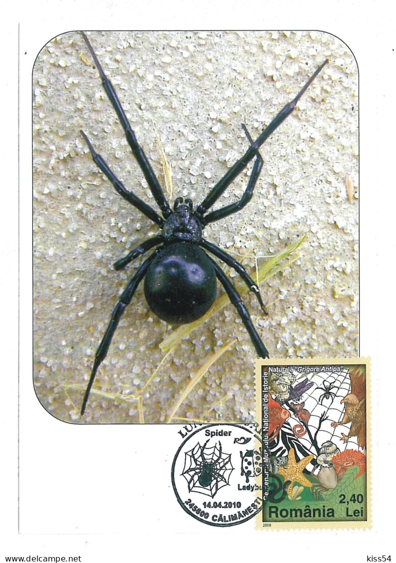 MAX 42 - 687 SPIDER, Romania - Maximum Card - 2009 - Cartoline Maximum