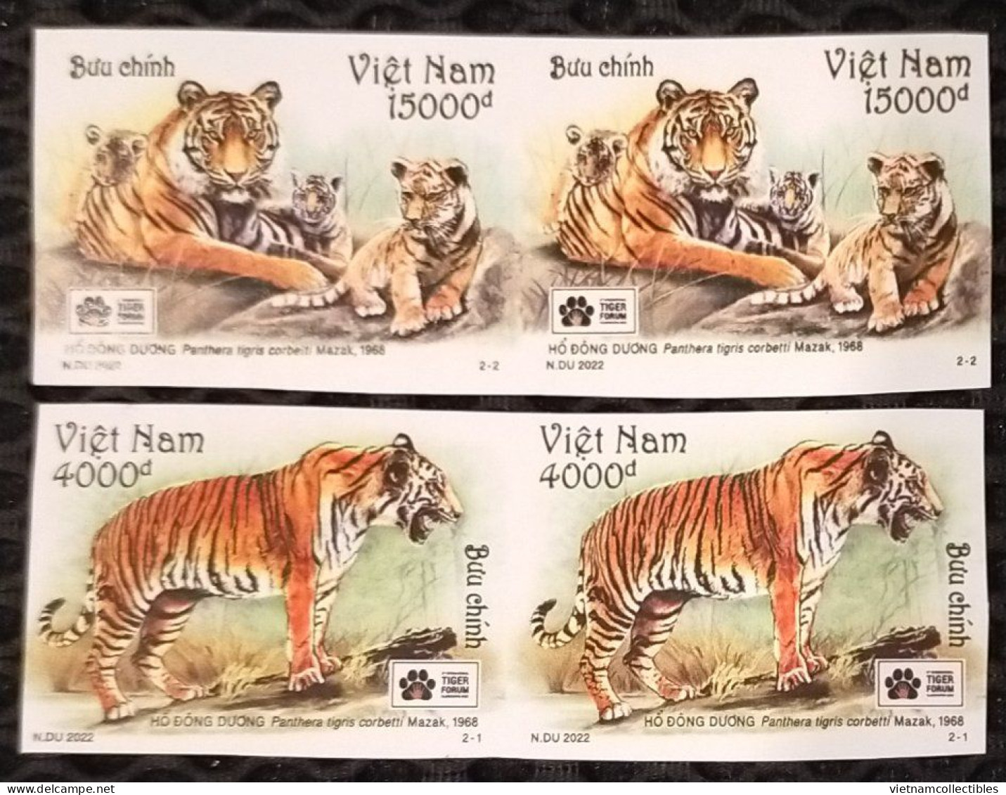 Vietnam Viet Nam MNH Imperf Stamps In Pairs 2022 : Indochinese Tiger Panthera Tigris / Big Cat (Ms1162) - Vietnam