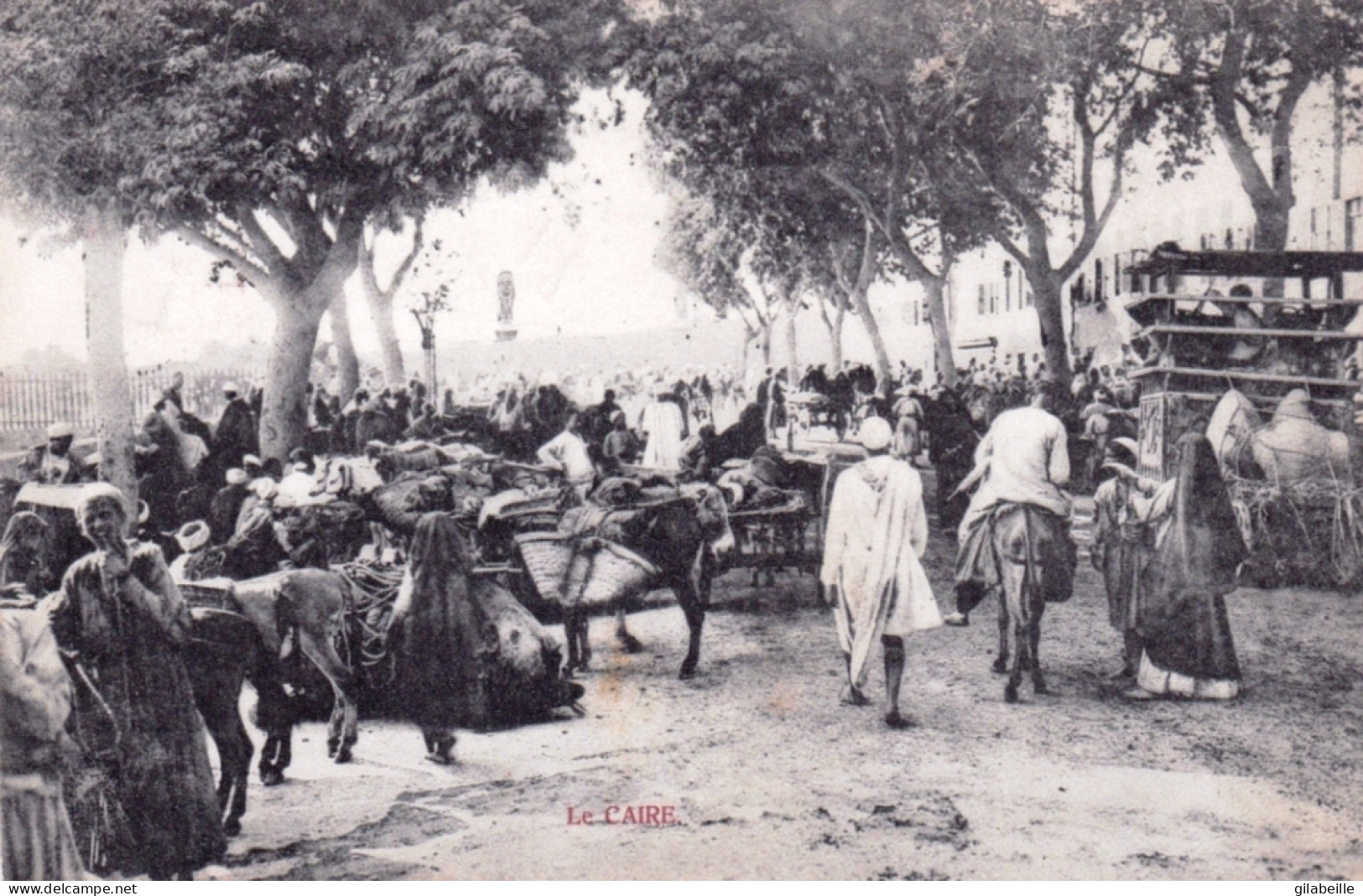 Egypte - LE CAIRE - Jour De Marché - Caïro