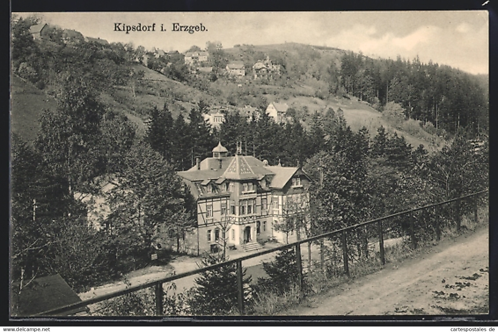 AK Kipsdorf, Ortsansicht Mit Hotel  - Kipsdorf