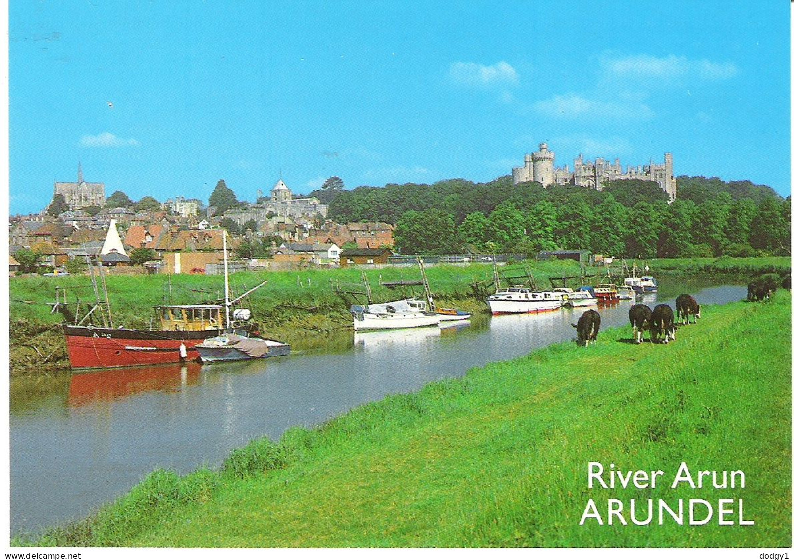 ARUNDEL FROM THE RIVER ARUN, WEST SUSSEX, ENGLAND. UNUSED POSTCARD Ms1 - Arundel