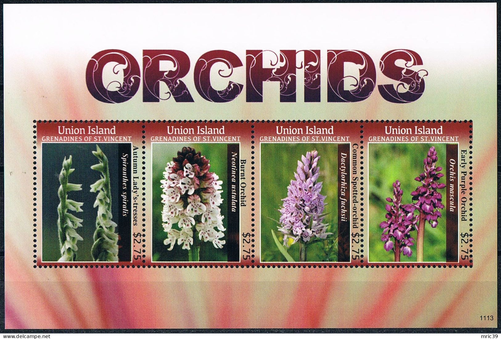 Bloc Sheet Fleurs Orchidées Flowers Orchids  Neuf  MNH **  Union Island Grenadines Of St Vincent 2011 - Orchideeën