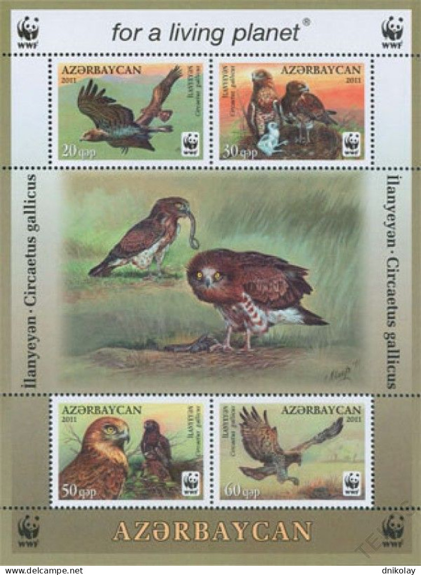 2011 894 Azerbaijan World Wildlife Fund - Birds Of Prey MNH - Azerbaiján