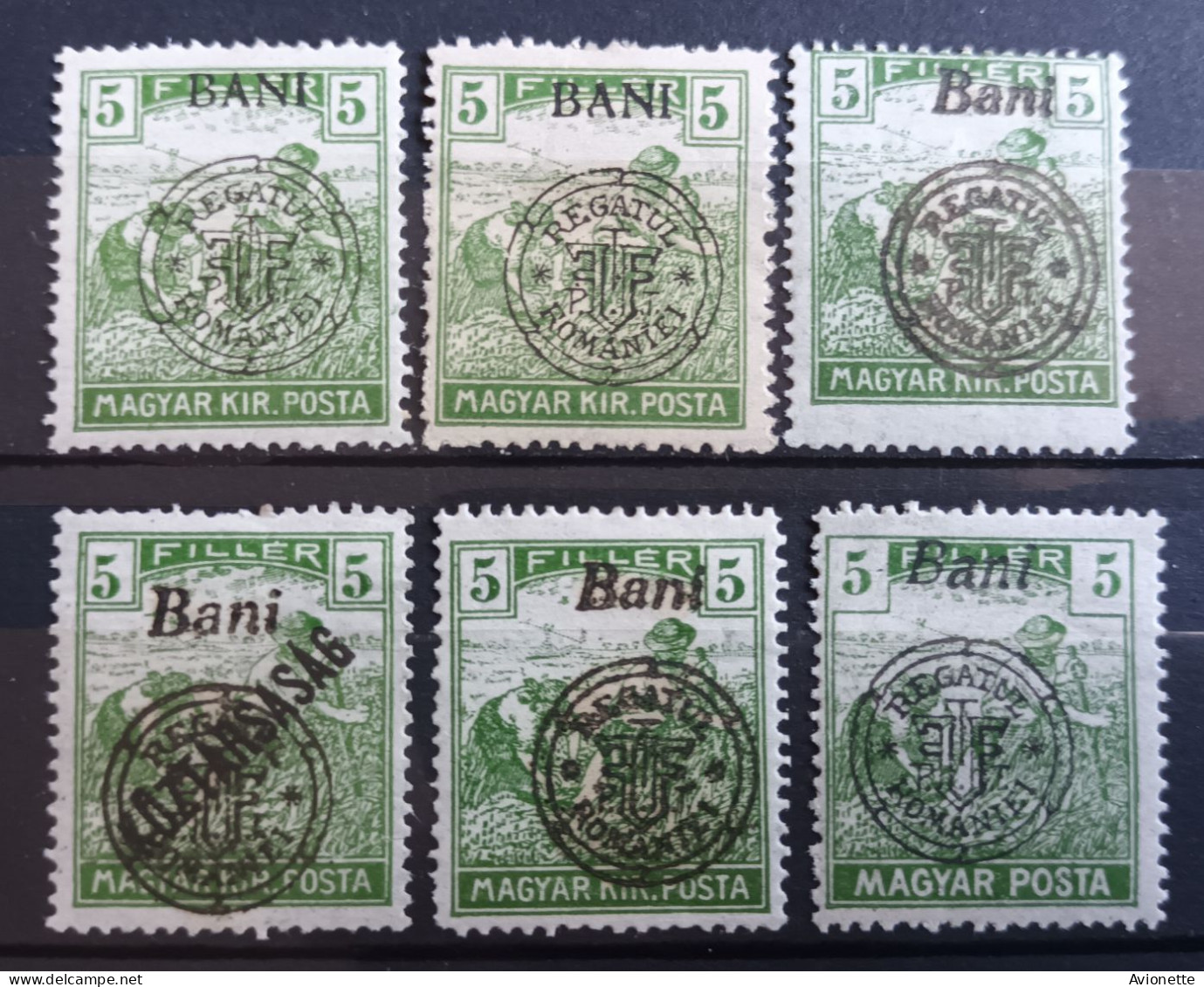 Magyar Kir Posta / Surcharge Regatul Romaniei (6 Timbres Neufs) - Unused Stamps