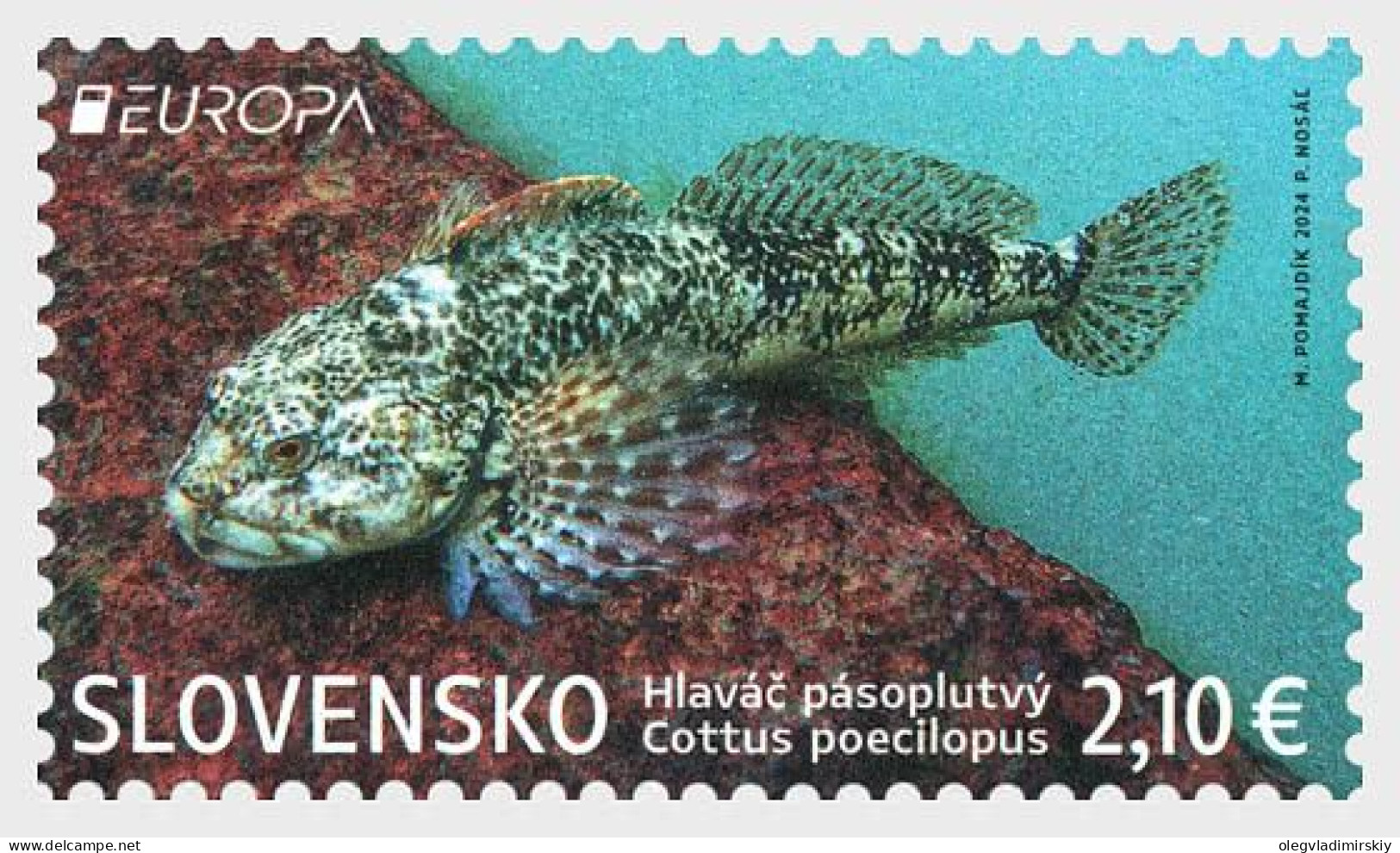 Slovakia 2024 EUROPA CEPT Fauna And Flora Of The Lakes Of The Tatra Mountains Rare Fish Perforated Stamp MNH - Peces