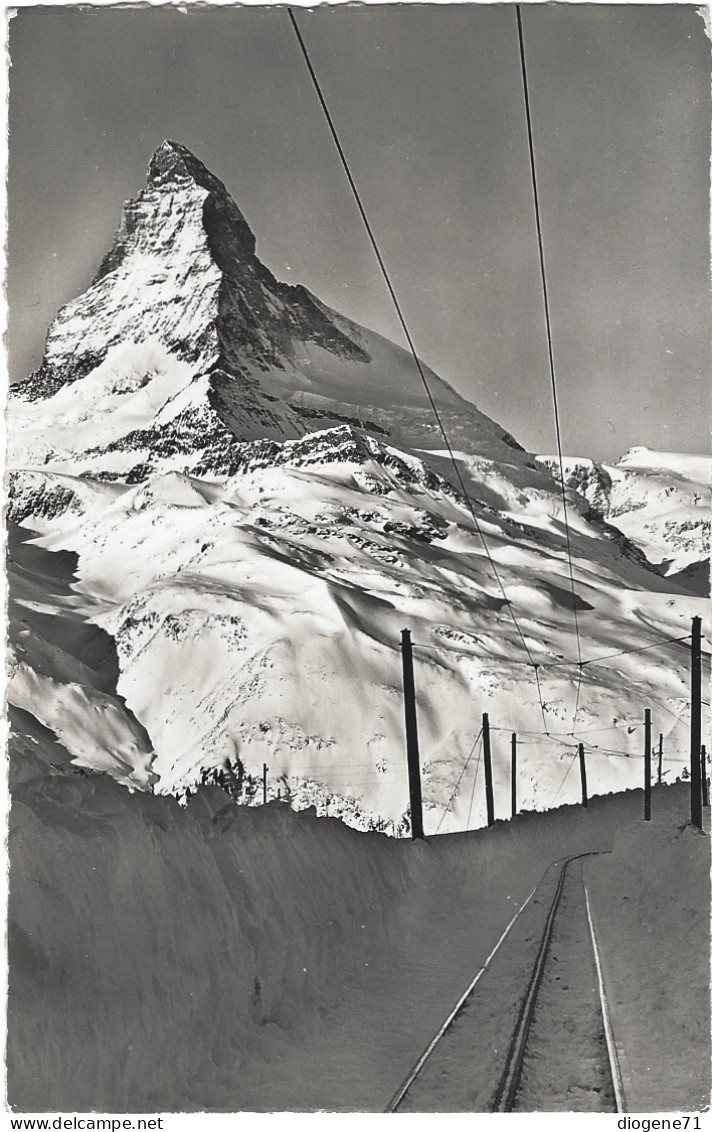 Zermatt Riffelalp Und Matterhorn 1948 - Zermatt