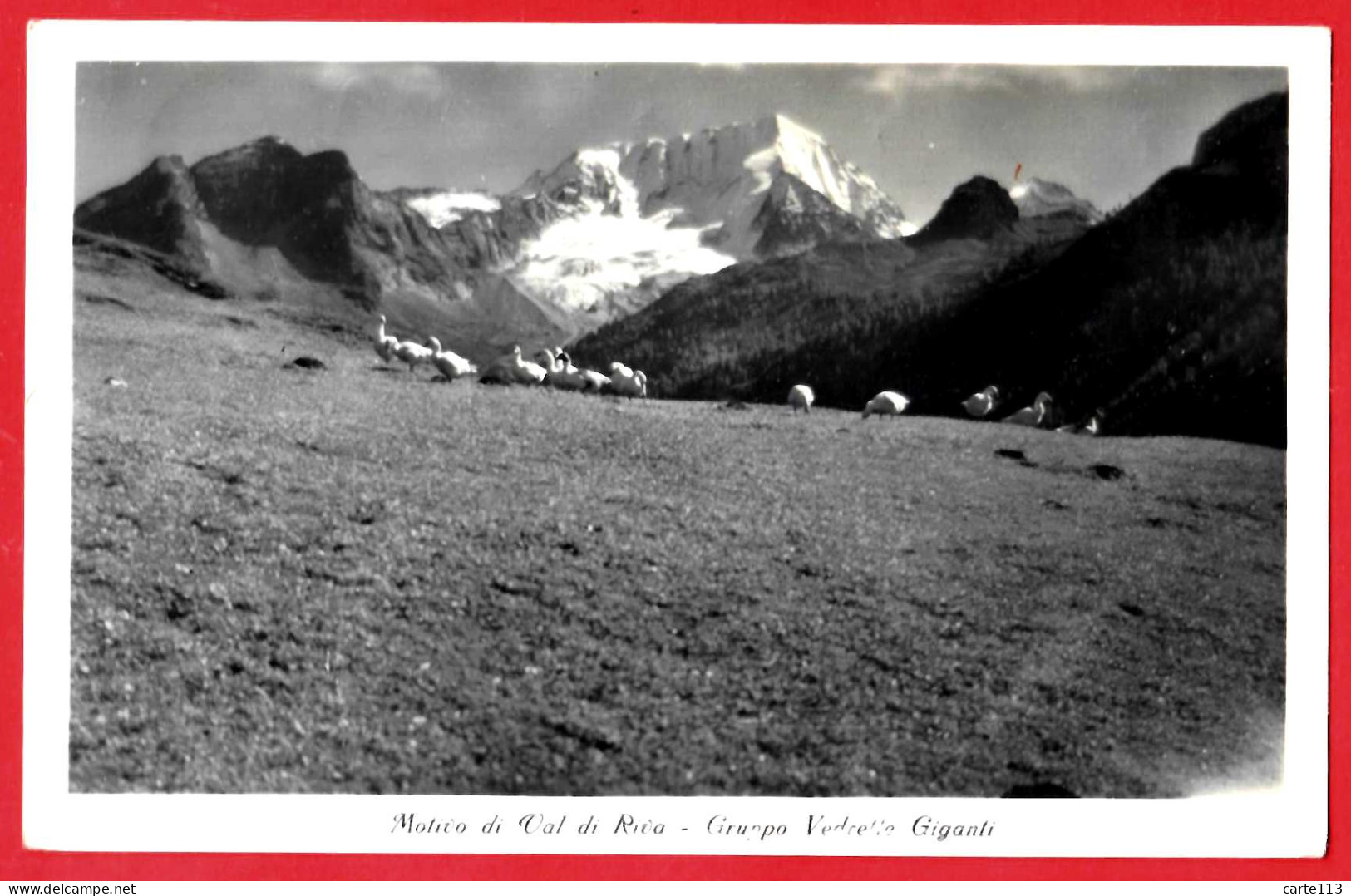 - B28559CPA - VAL DI RIVA - Italie - Gruppo Vedrette Giganti - Très Bon état - EUROPE - Autres & Non Classés