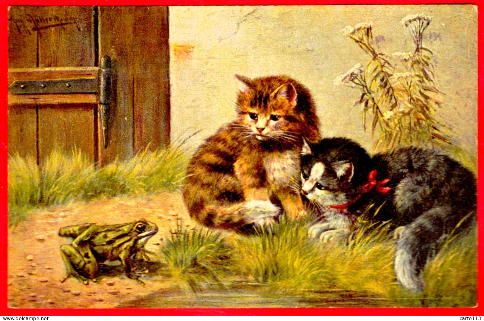 - F27840CPA - ANIMAUX - Chats Et Grenouille - Très Bon état - THEMES - Cats