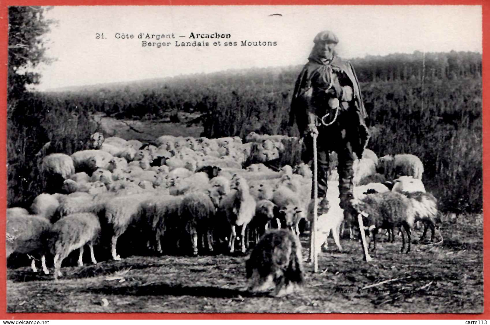 33 - B26819CPA - ARCACHON - Berger Landais Et Ses Moutons - Très Bon état - GIRONDE - Arcachon