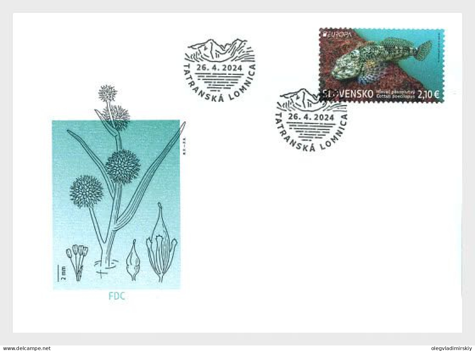 Slovakia 2024 EUROPA CEPT Fauna And Flora Of The Lakes Of The Tatra Mountains Rare Fish Perforated Stamp FDC - Fische