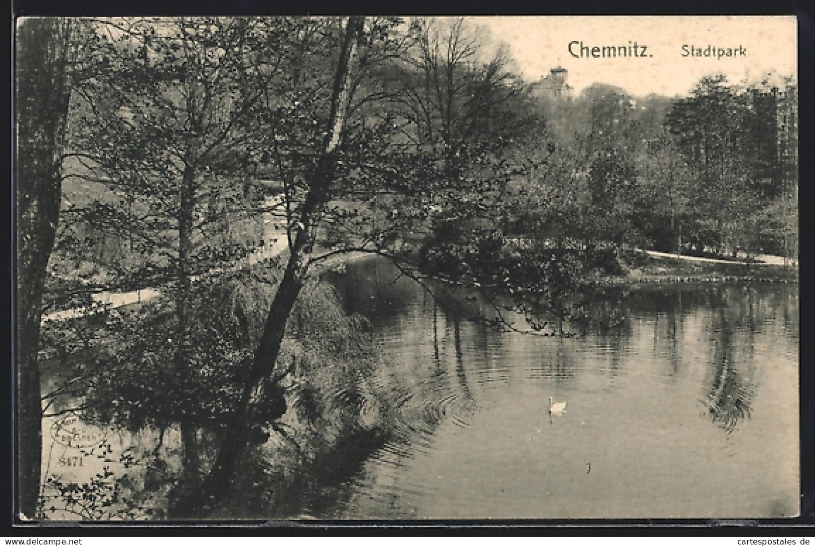 AK Chemnitz, Stadtpark Mit Teich Und Schwan  - Chemnitz