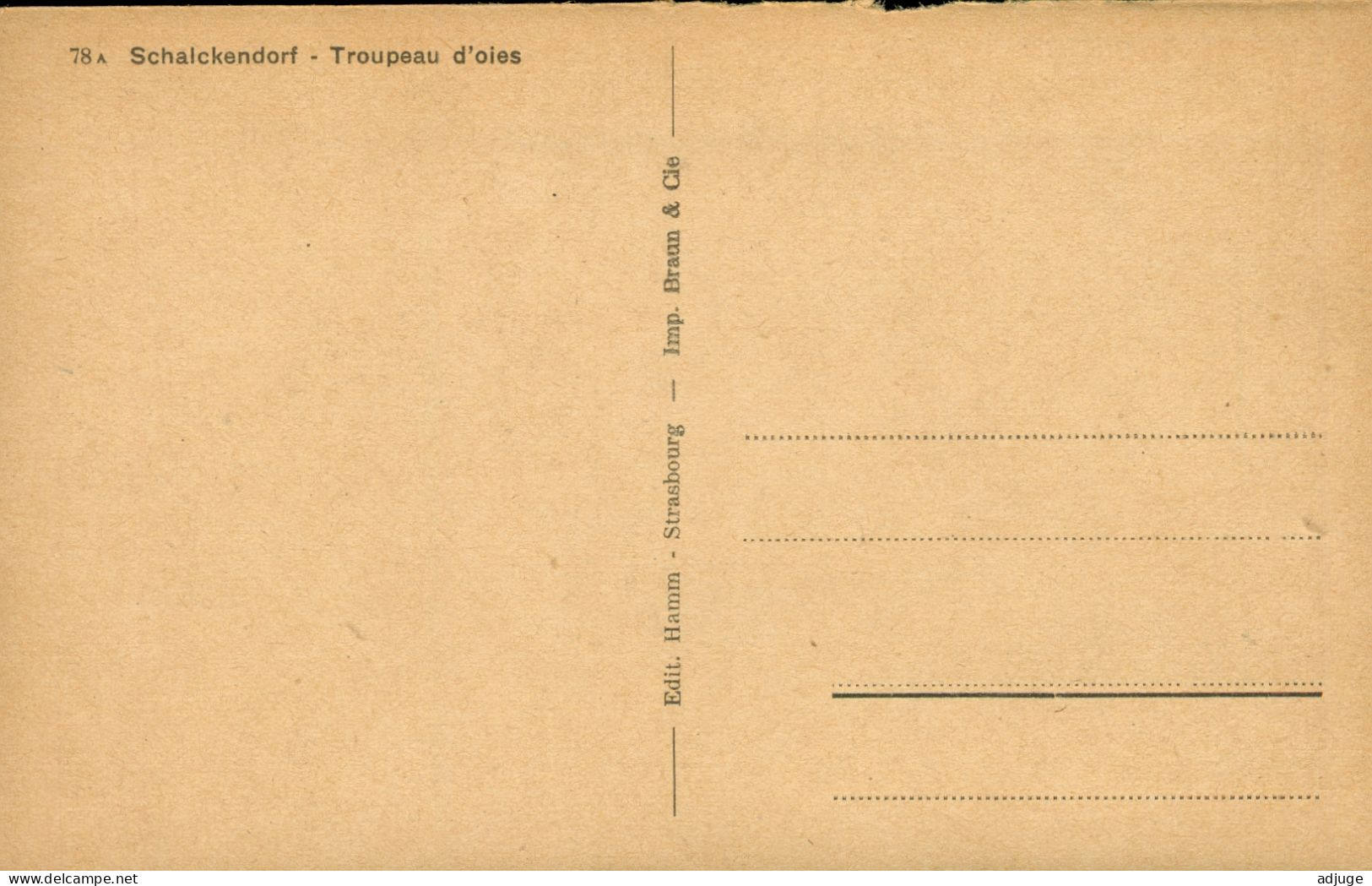 CPA-67- SCHALCKENDORF -Troupeau D'Oies - Élevage Foie Gras *Edit. Hamm Ref. N° 78a* - Other & Unclassified