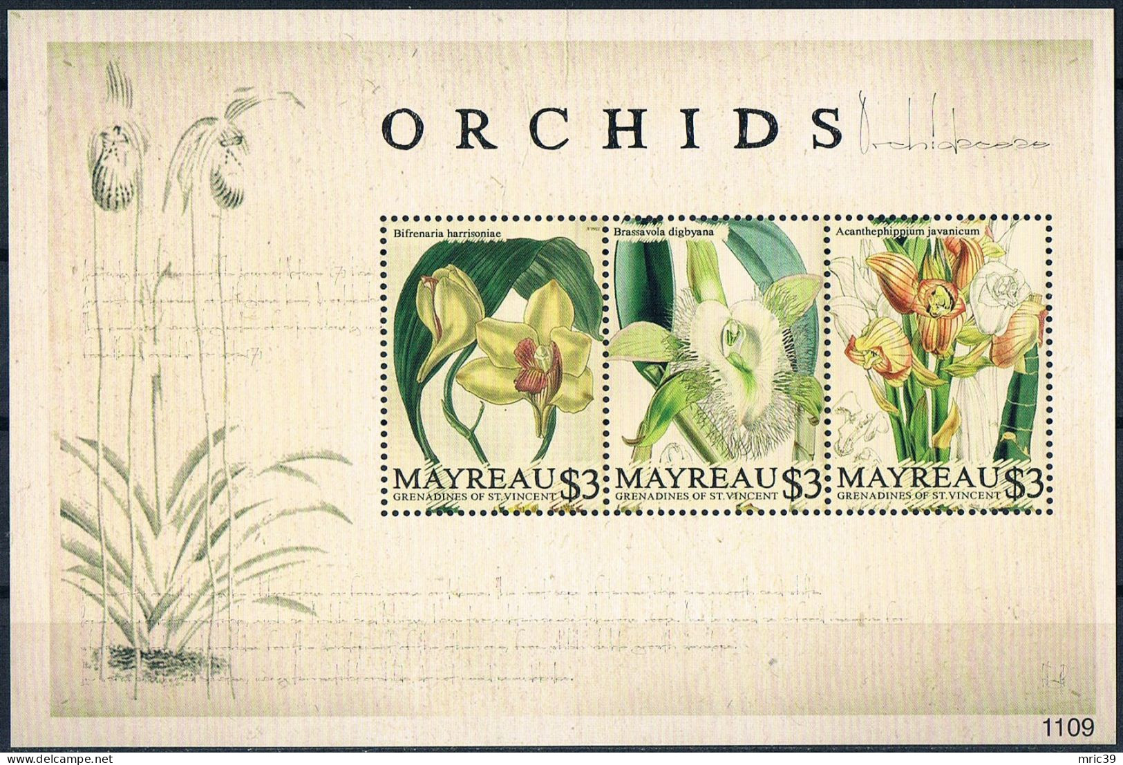 Bloc Sheet Fleurs Orchidées Flowers Orchids  Neuf  MNH **  Mayreau Grenadines Of St Vincent 2011 - Orchideeën