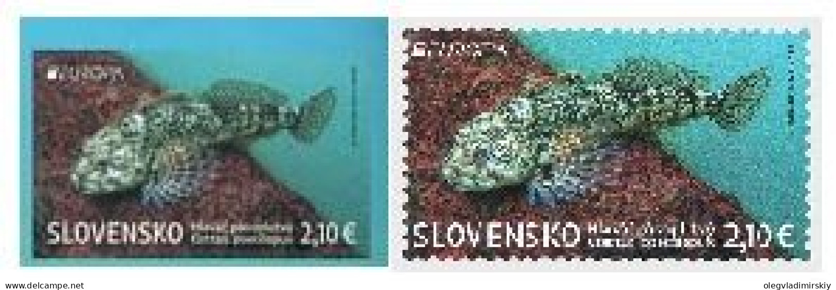 Slovakia 2024 EUROPA CEPT Fauna And Flora Of The Lakes Of The Tatra Mountains Rare Fish Set Of Both Type Stamps MNH - 2024