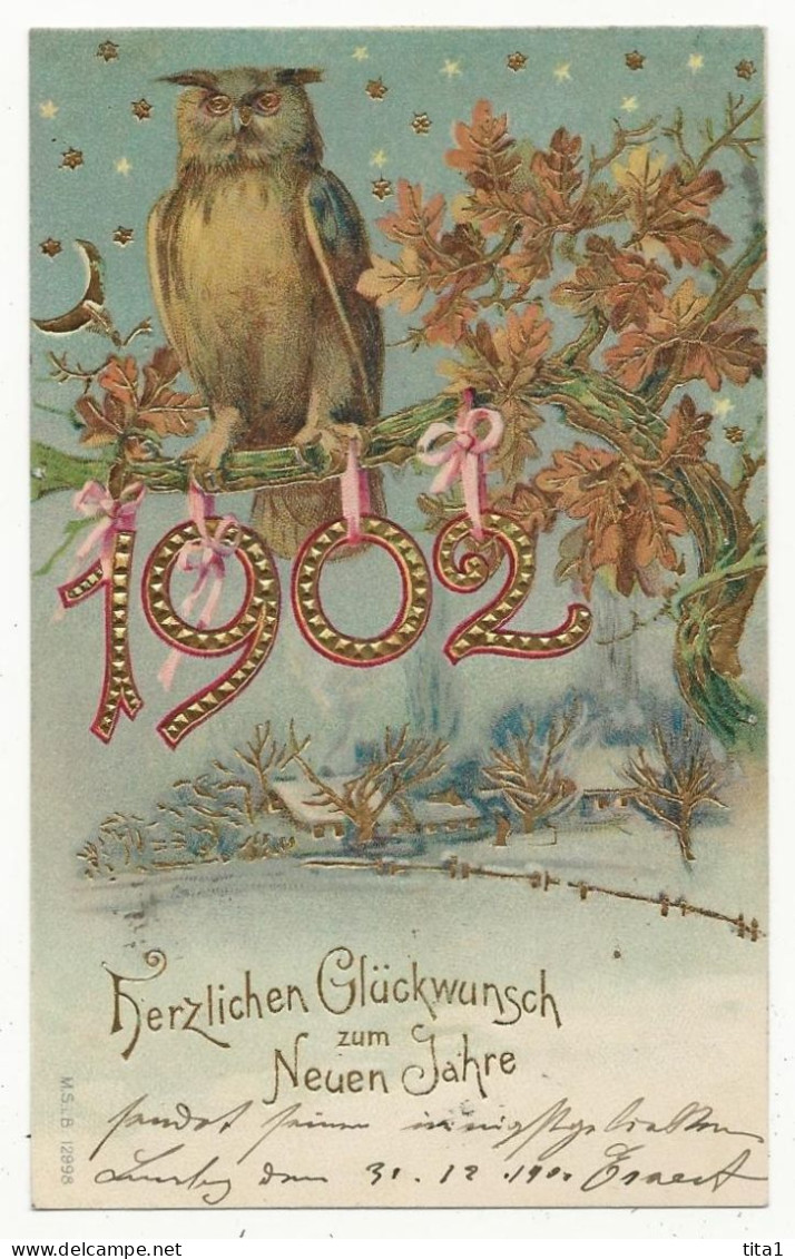 2813 - Hibou  - Herzlichen Glückwunsch Zum Neuen Jahre 1902 " En Relief" - New Year