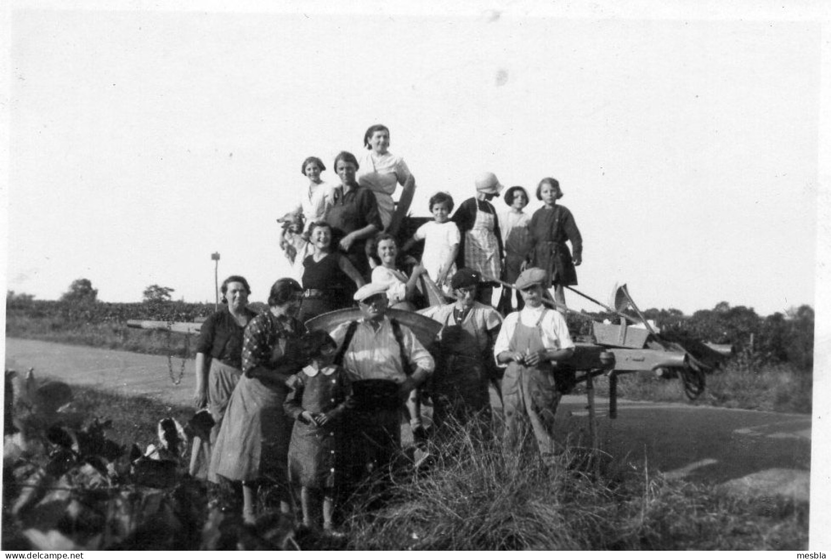 Photo  Ancienne -  Travaux Des Champs En Famille ,  Vendanges ? - Métiers