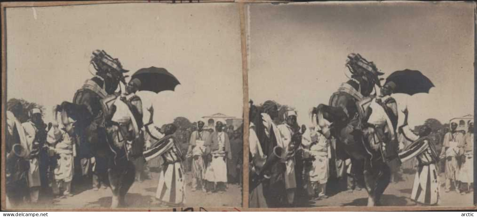 Photo Stéréoscopique Tchad Fort Lamy Chef Rotoko  Faisant Cabrer Son Cheval - Stereoscopic