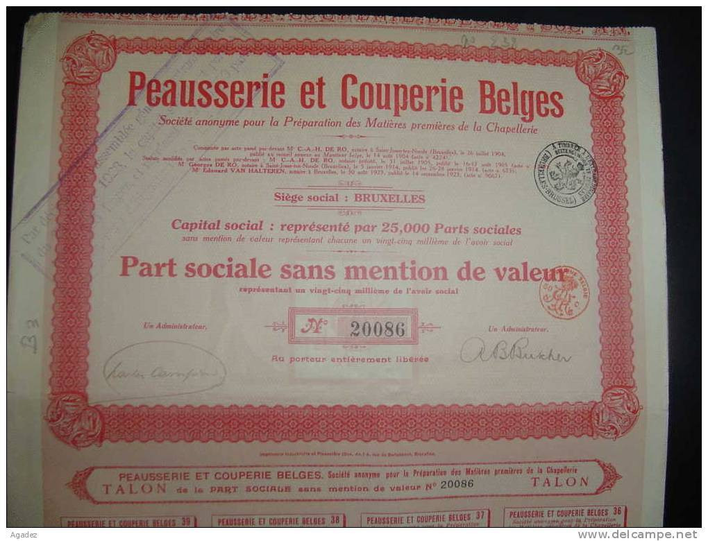 Part Soc." Peausserie Et Couperie Belge " Bruxelles 1923 (cuir). - Industrie