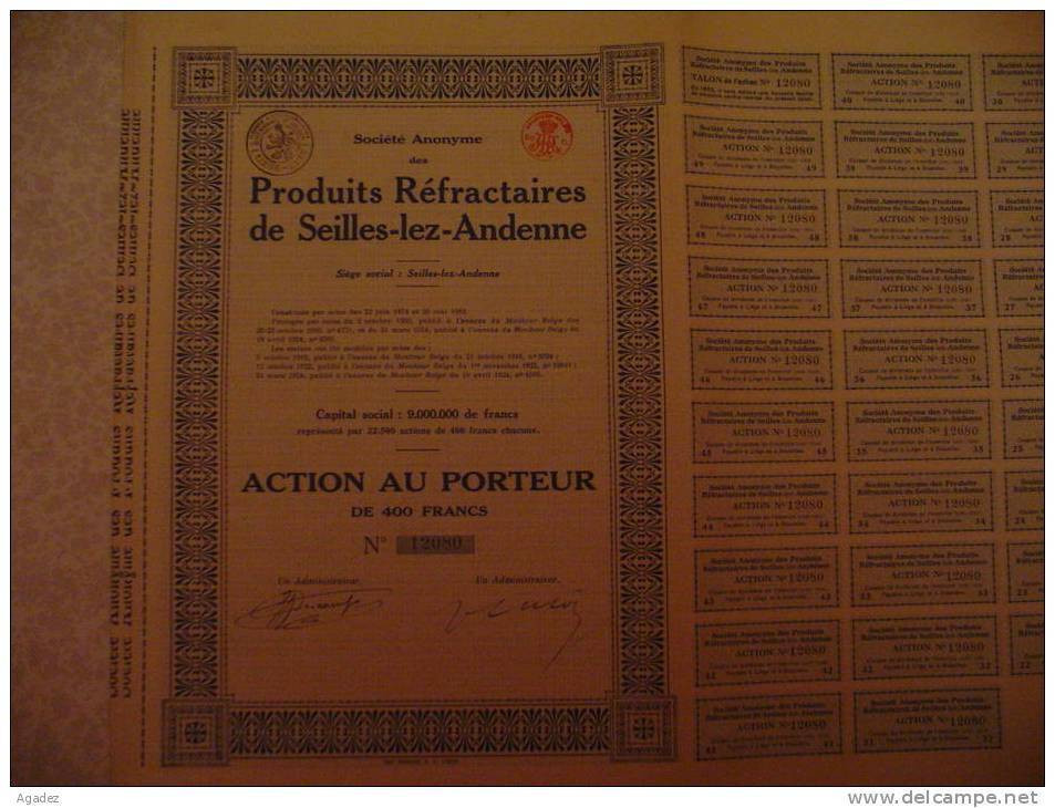 Action " Produits Réfractaires De Seilles Lez Andennes " (Namur Huy) 1924 (terres Plastiques,sables Grès). - Mines