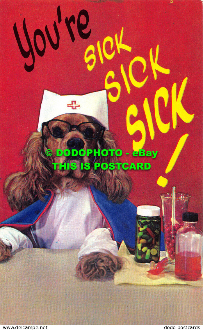 R527773 Youre Sick Sick Sick. Dog. Plastichrome. Colourpicture Publishers - World