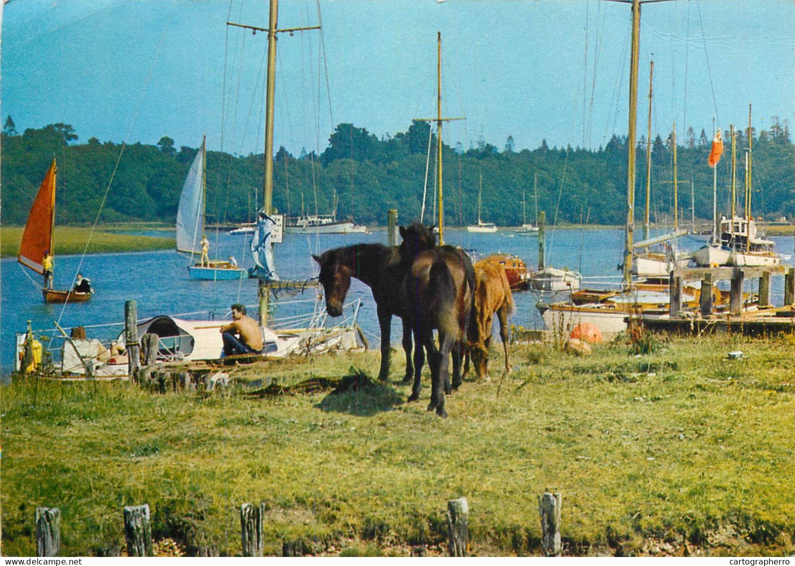 Navigation Sailing Vessels & Boats Themed Postcard Bucklers Hard - Segelboote