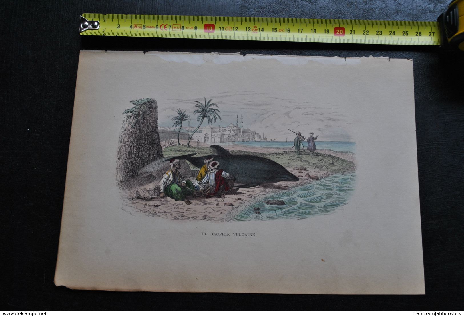 Gravure Couleurs (27,5 X 18) Buffon XIXè Dauphin Vulgaire échoué Sur Une Plage Scène Animée Bord De Mer Palais Ottoman - Estampes & Gravures