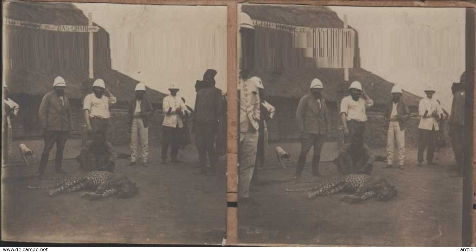 Photo Stéréoscopique Tchad Fort Antilopes Et Phacochère - Photos Stéréoscopiques