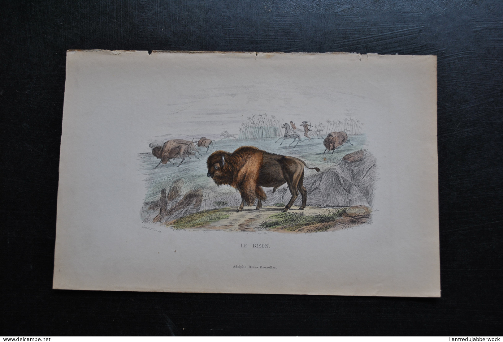 Gravure Couleurs (27,5 X 18 Cm) Buffon XIXè Le Bison Mammifère Amérique Etats-Unis Scène Animée D'Indiens Chasse Deros - Stampe & Incisioni